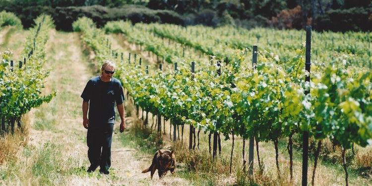 Yilgarnia Wines